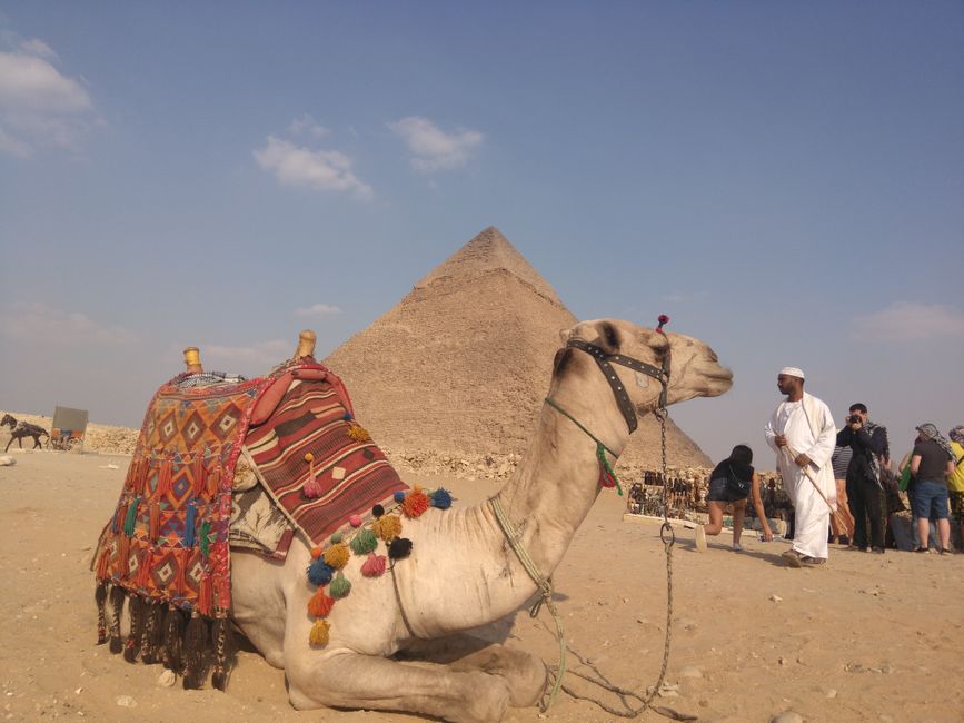 Cairo excursions