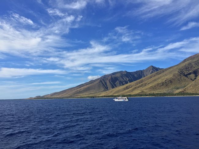 Մաուի - Հավայան կղզիներ