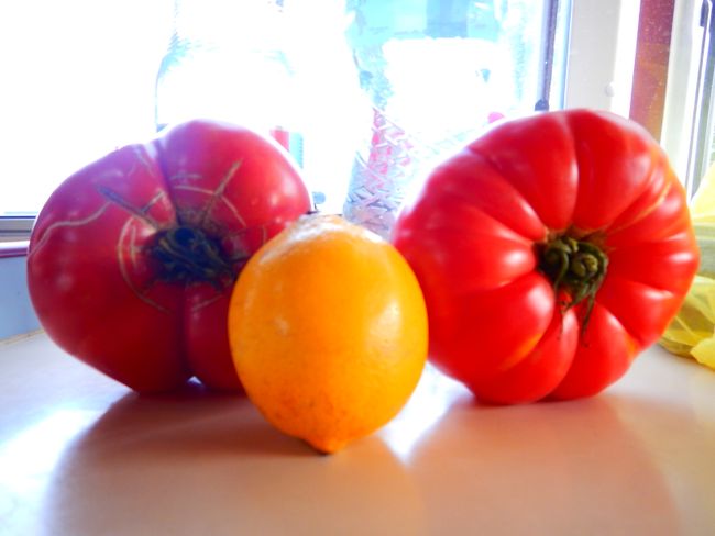 riesen Tomaten 660g