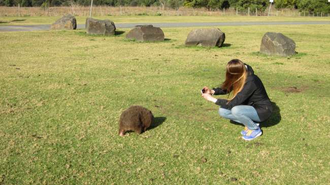 Wildlife :)