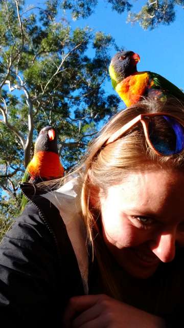 Wildlife :)