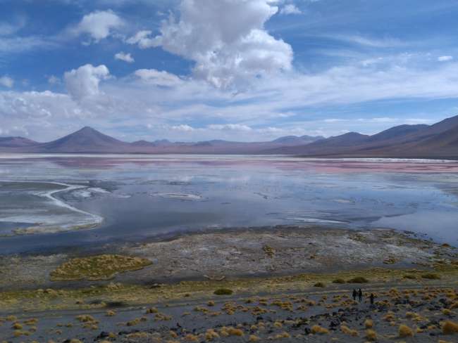 Laguna Colorada Bolivien