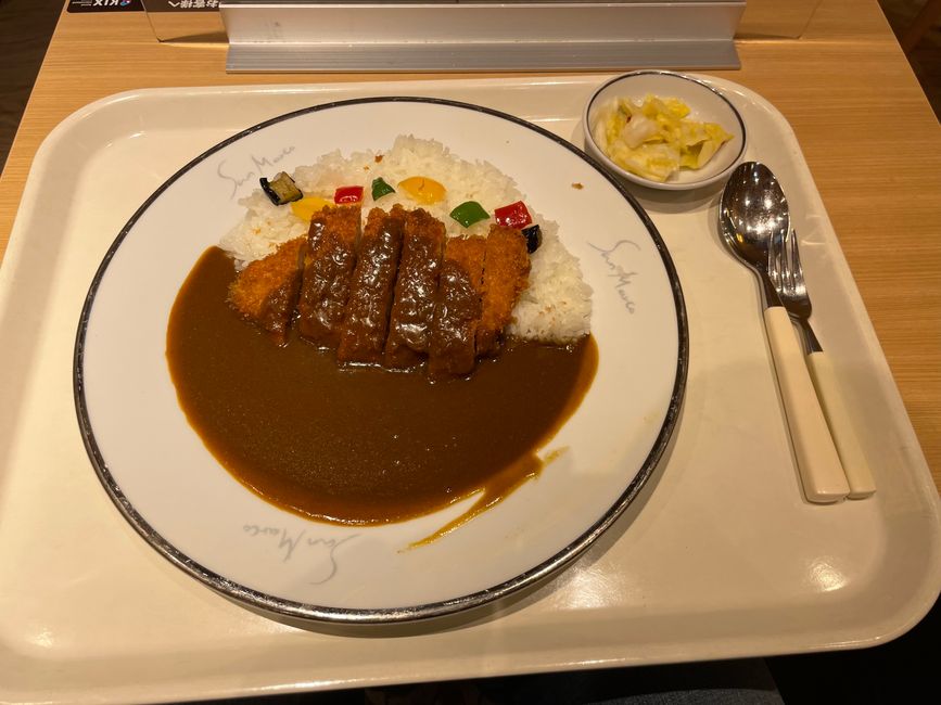 Ein leckeres Curry am Flughafen von Osaka 