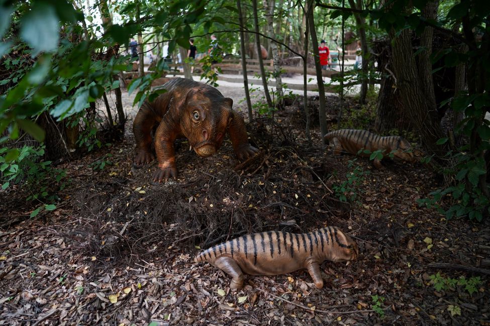 Tag 4: Ich glaub, die Dinos sind da!