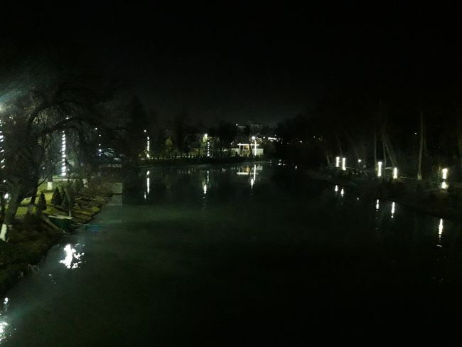 pond at night