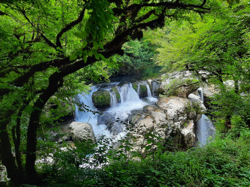 Tag 41 Georgien - Martvili-Canyon und Kinchkha-Wasserfall