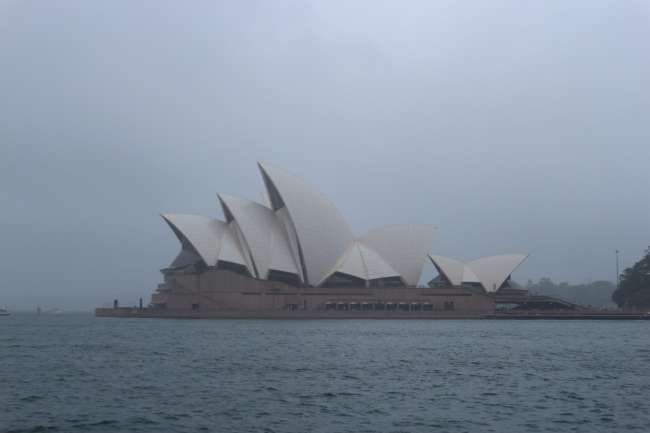Sydney im Regen + Malet Blu