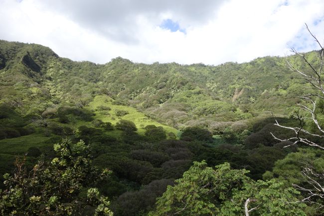 View from the Moanalua Trail
