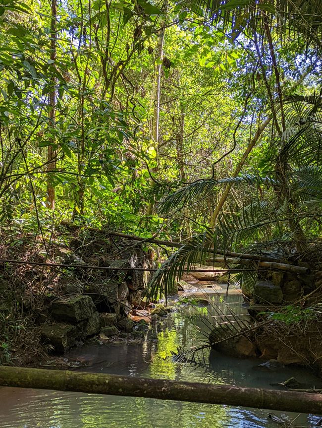 Ilha Grande - Brasiliens Trauminsel