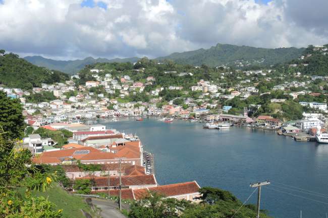 Hiking, Monkeys and Sight Seeing in Grenada