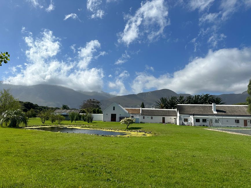 Hermanus ♥️