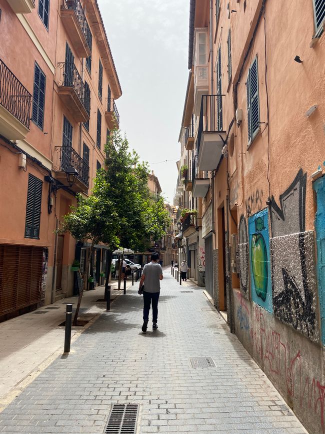Palma on Tour