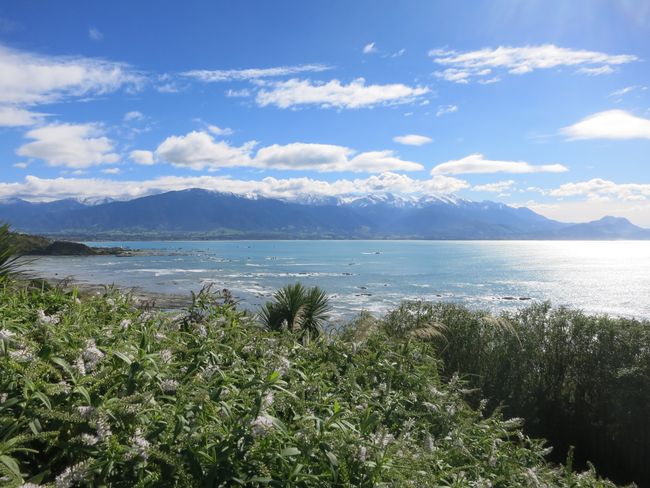 Our last days on the South Island