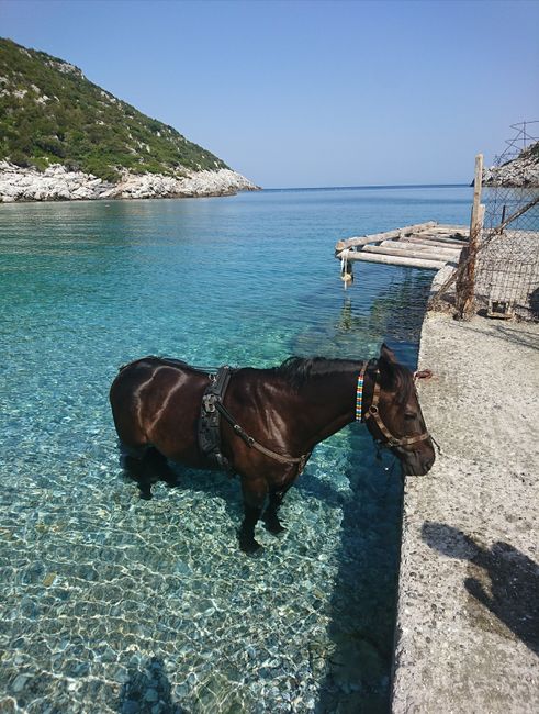 Skopelos - a tökéletes görög sziget