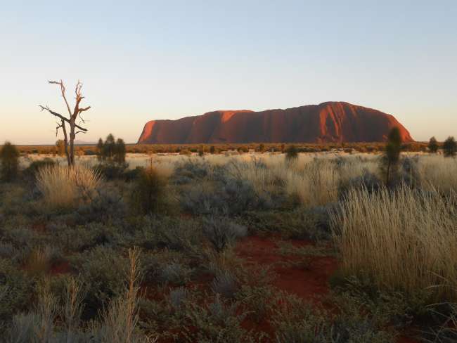 Let's go to Ayers Rock!