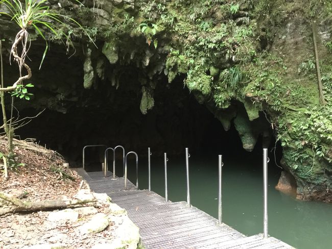 Rotorua/Waitomo Caves