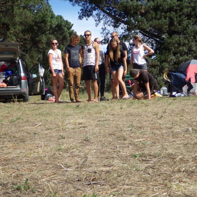 Crew from the campsite and our girls from Abel Tasman