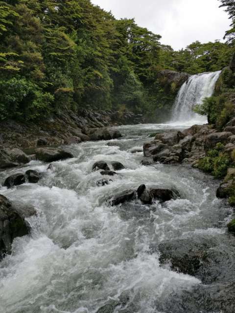 Tawhai Falls 2