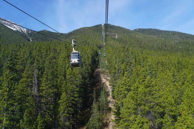With the Banff gondola to Sulphur Mountain