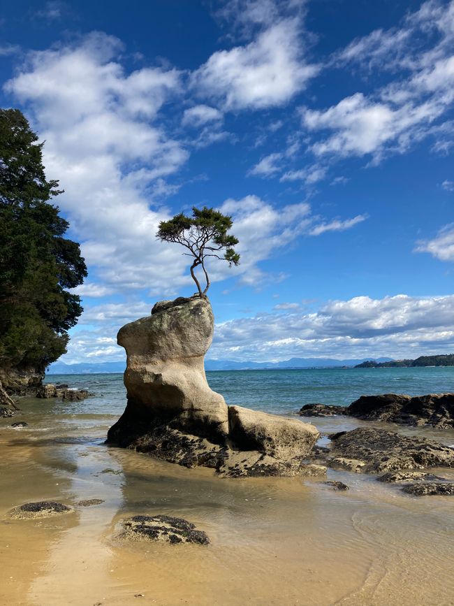 New Zealand - South Island