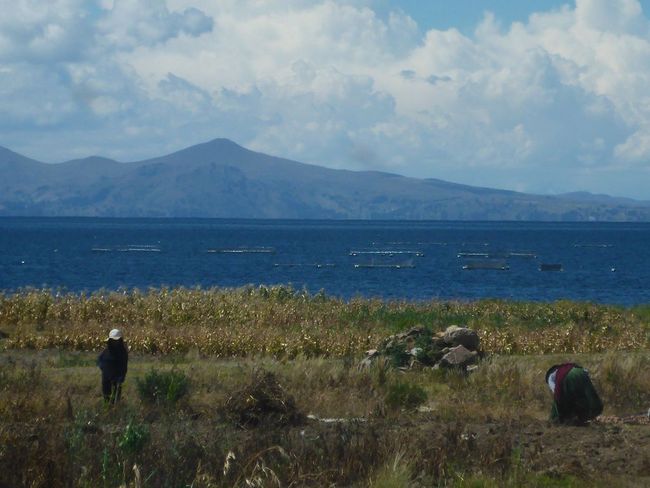 Blick über den Titicacasee