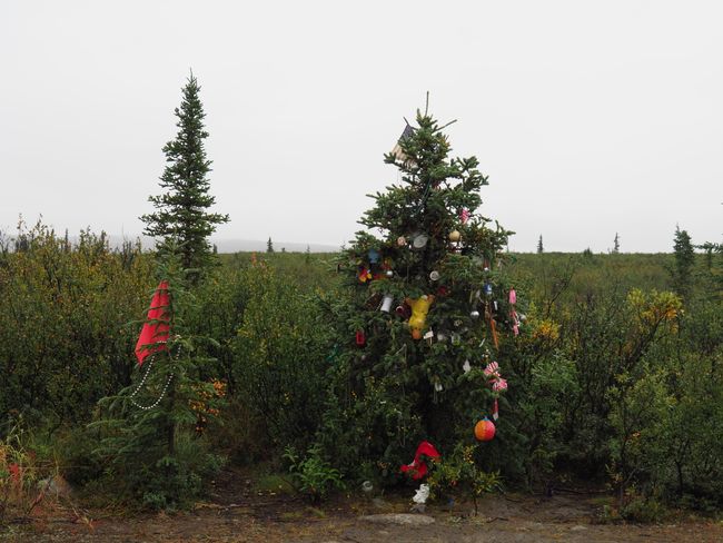 X-Mas seems popular (in the middle of the Denali Hwy)