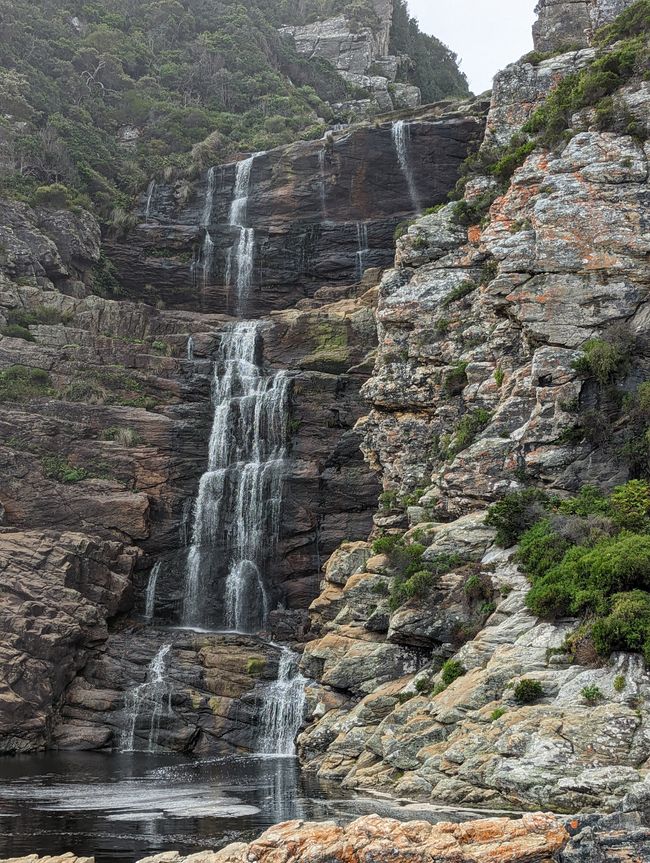 Parc national de Tsitsikamma
