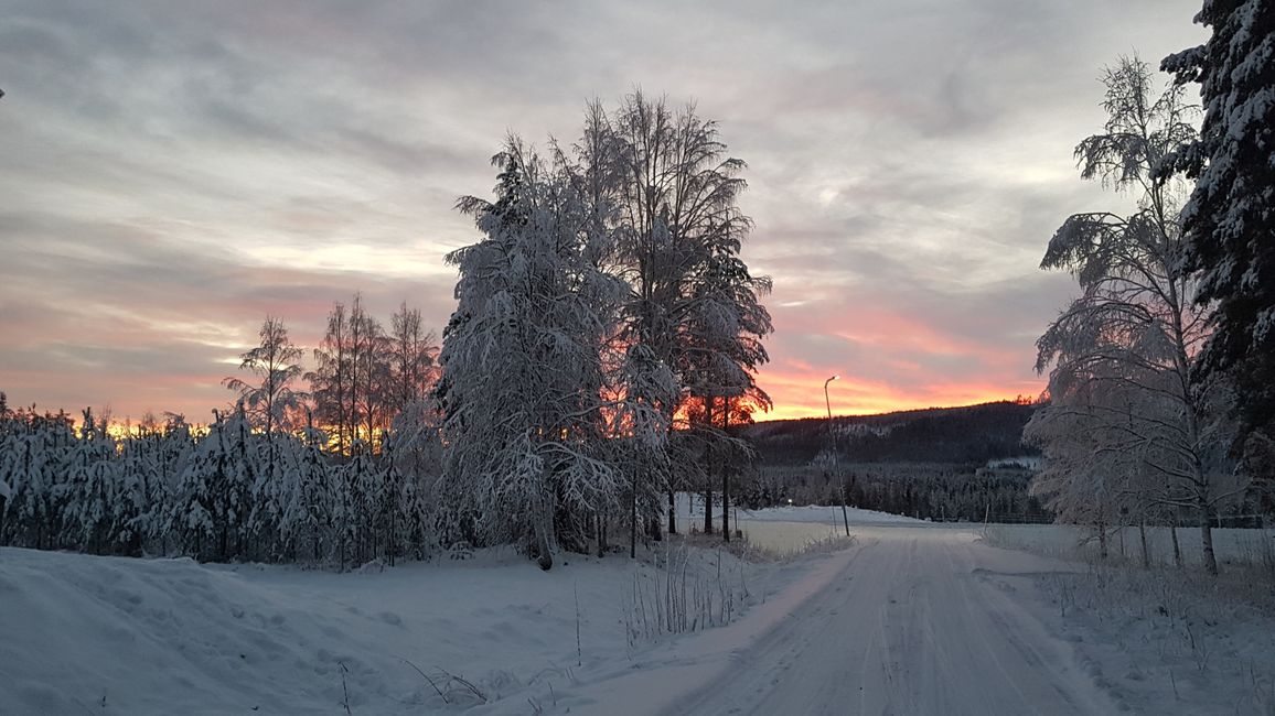 Swedish Lapland 30th Nov - 5th Dec 2020