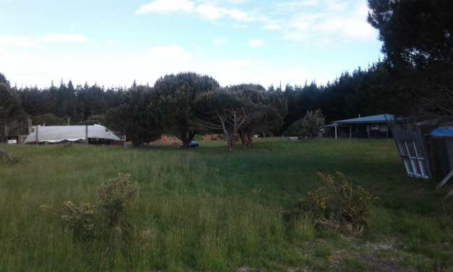 Mangawhai Camping 21-24.10.2016