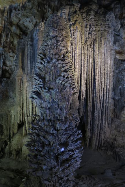 Phong Nha राष्ट्रिय निकुञ्ज - गुफा, जंगल, साहसिक