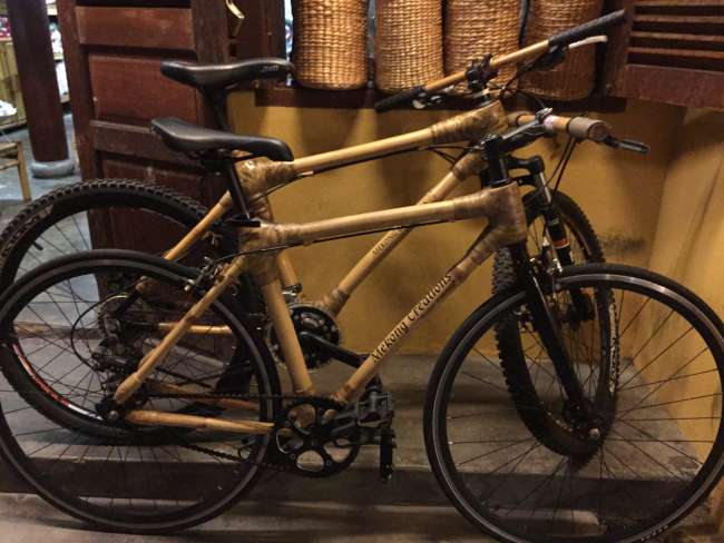 Bamboo bikes 😬