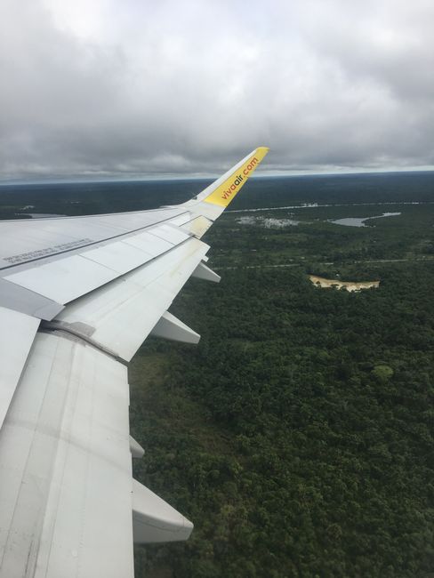 Aussicht vom Flugzeug auf den Regenwald. Die Stadt Iquitos ist nur über Flugzeug oder Boot zu erreichen. 