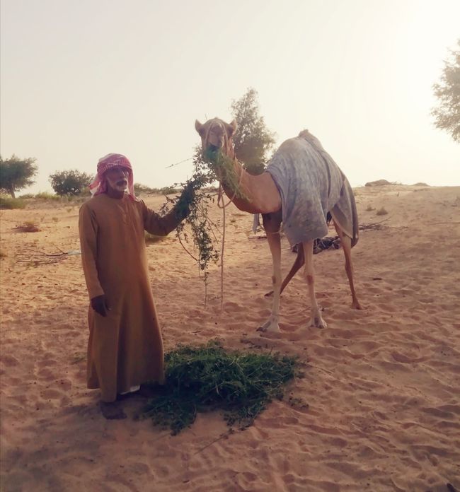 40. Al Reem Desert Camp (Omán)