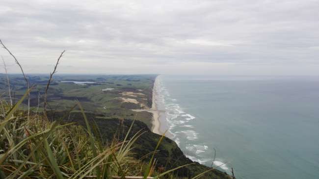 Aussicht vom Manganui Bluff über die Westküste