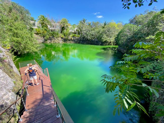 The hotel cenote with green water.