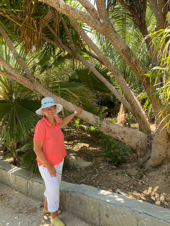 Die alte Frau und das Meer