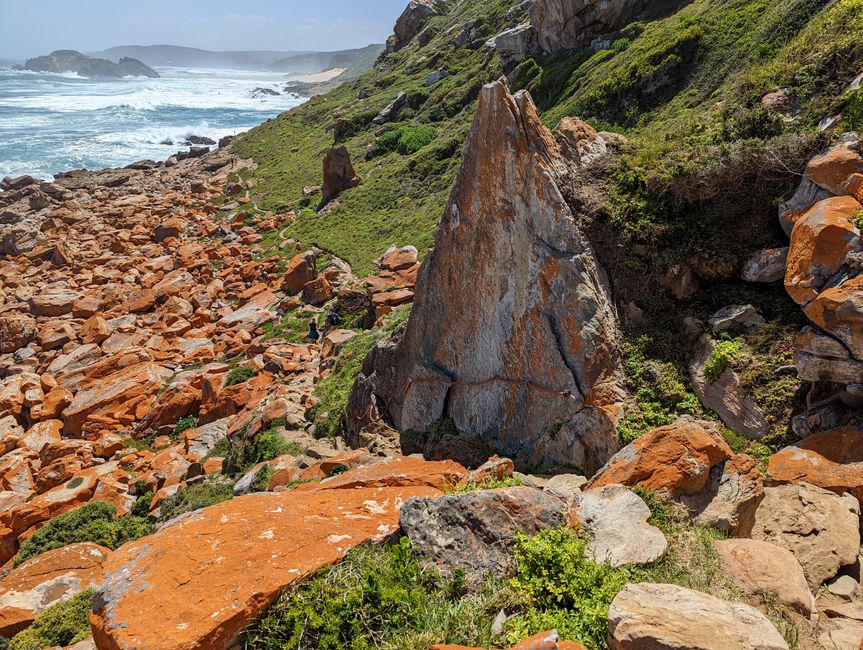 Plettenberg Bay/Robberg Nature Reserve