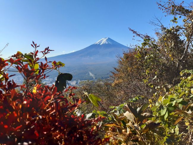 Fuji #16 vom Mt. Tenjo