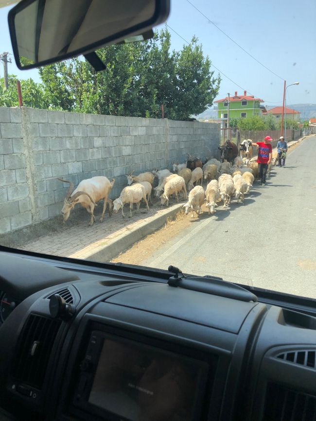 On the road in Albania