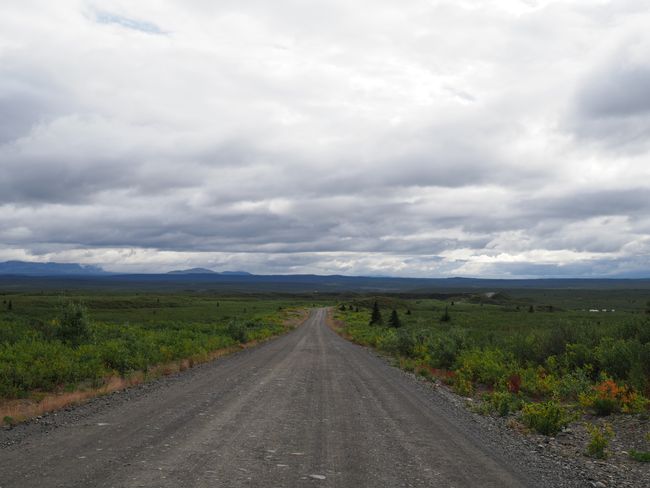From Fairbanks via the Denali and Top of the World Hwy to Dawson City