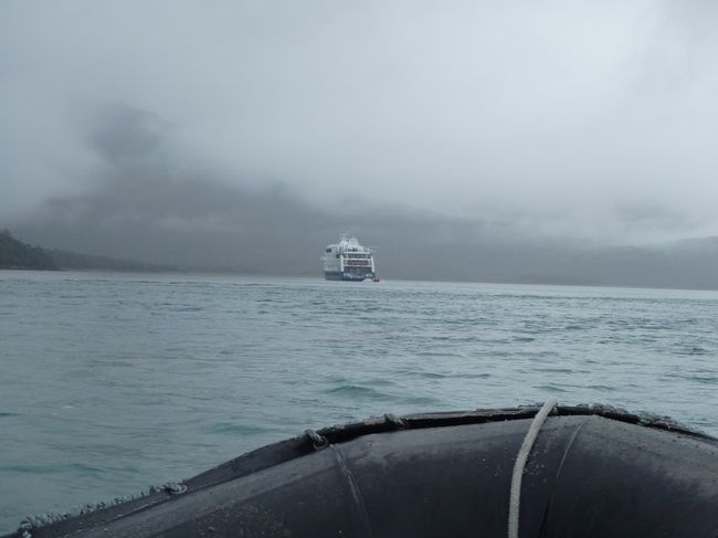 BLOG 24 - 1 / Ship Cruise Tierra del Fuego y Cabo de Hornos (Part 1 from Punta Arenas to Pia Glacier)