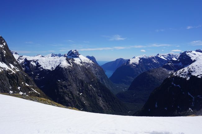 Chapter VIII - Skitouring in the Fiordland