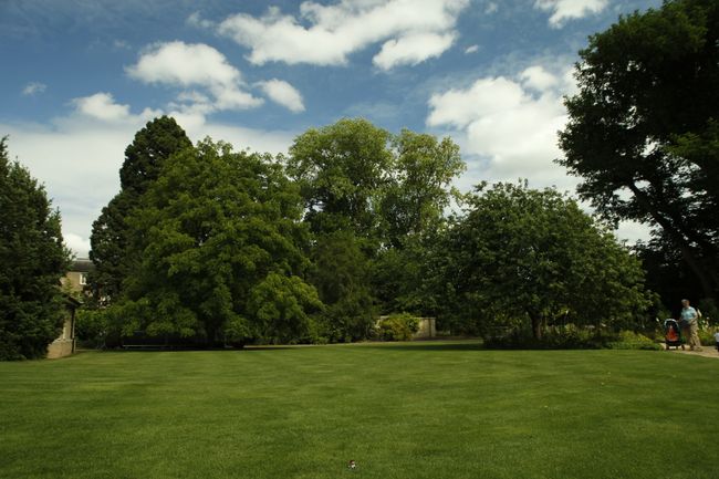 Englischer Rasen mit Bäumen. Hier ist anzumerken, der Baum am rechten Rand der Rasenfläche ist ein Nachkomme des bekannten Isaac Newton apple tree, so stehts da zumindest. ;-)