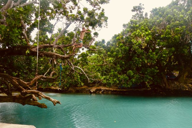 Ọbịa pụrụiche na Vanuatu