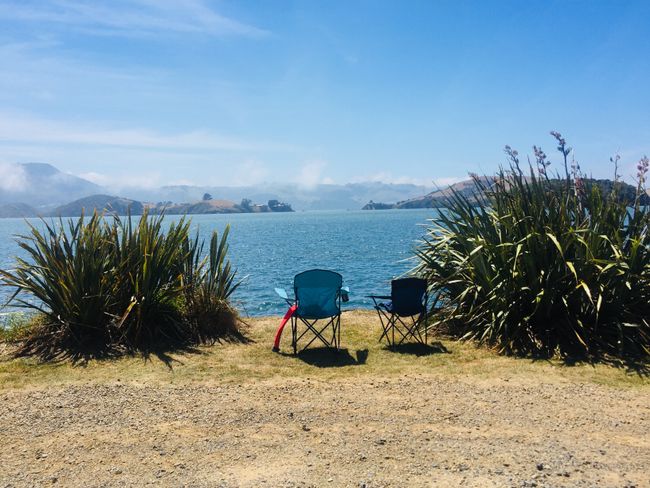 wie Urlaub.. unser Halt in der Portobello Bay in Otago Peninsula