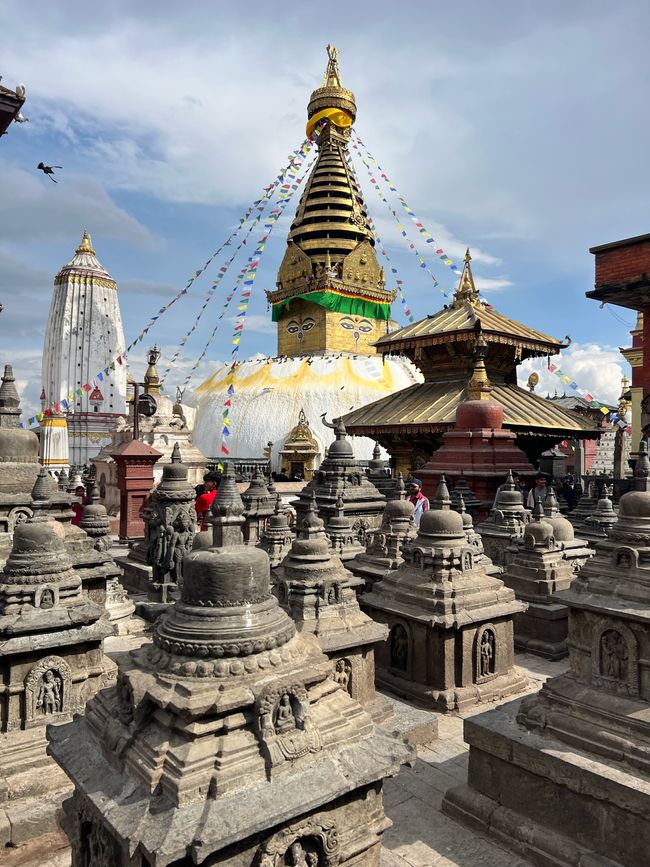 Der Monkey-Tempel in Kathmandu. 