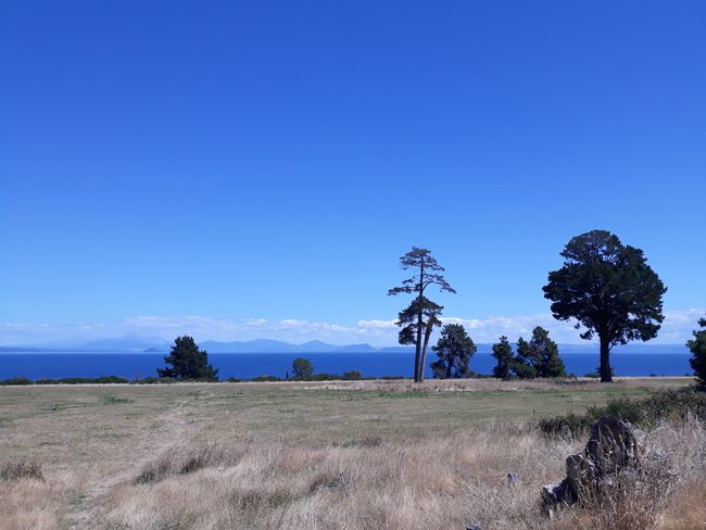 Waitomo and Taupo Lake
