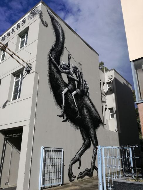 Street Art in Dunedin