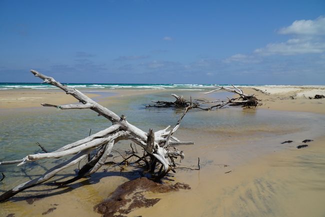 Fraser Island - Part 2