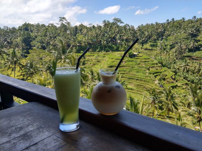 2 Wochen Urlaub in Bali